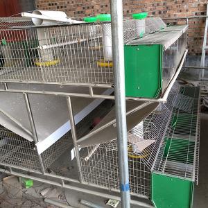 Wholesale Industrial 2 Layer Female Chicken Wire Rabbit Cage Electric Galvanized from china suppliers