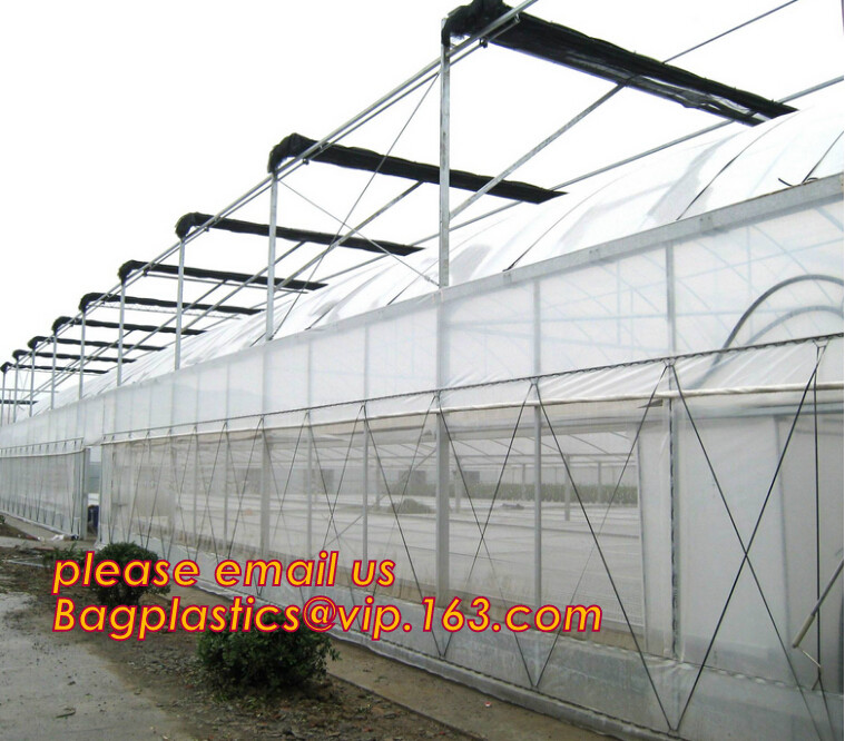 cheap and durable plastic colored anti mosquito netting/window insect screen,Industrial Agricultural Greenhouses use 2m