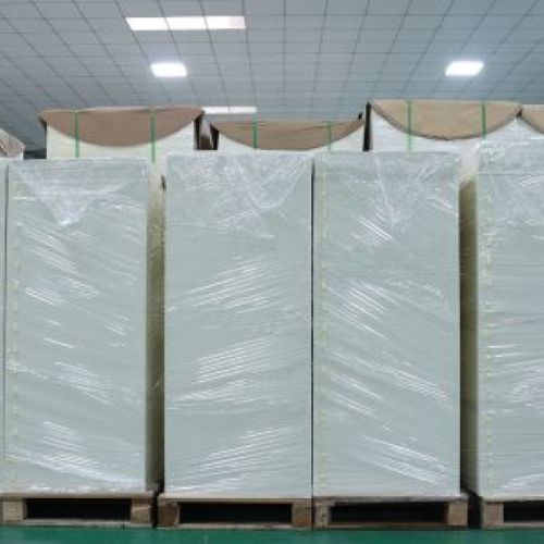 PLA Coated Paper Cup Sheet Printing Paper Cup Raw Material Paper Customized Shape