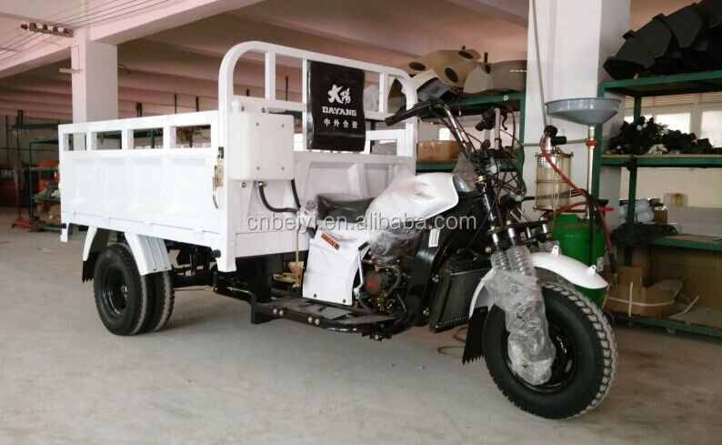 201 250cc Closed Motorized 800 W Trimoto with Rear 4 Wheel CN CHO