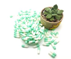 Wholesale Pharmaceutical Grade Gelatin HPMC Empty Gel Capsules Separated from china suppliers