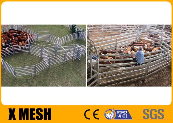 2" Round Tubing Metal Horse Fencing Panels Galvanized Finish 6 Rails 50 Inch