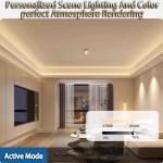 Flexible Light Strip 24V / 36V Outdoor Waterproof Decoration Atmosphere Bright