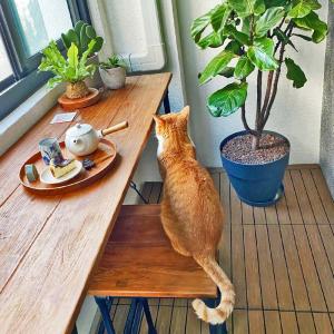 Wholesale Versatile Wood Deck Tiles Waterproof Square For Outdoor Use from china suppliers