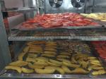 Integral Vacuum Freeze Dryer Industrial Lyophilization Machine Tray Type