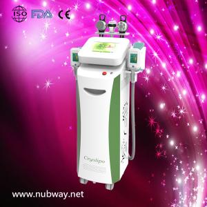 Wholesale Super fast amazing result 2013 cryolipolysis to lose weight from china suppliers