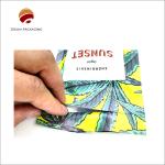 PET/PE Stand Up Ziplock Standing Pouch Gravure Printed Tear Resistance