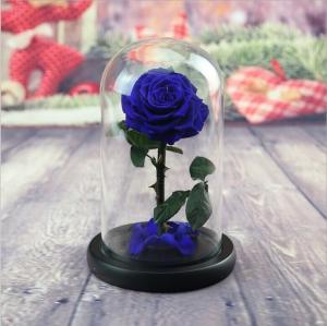 Wholesale OEM Perfect Valentines Day Gifts Multiple Colours Preserved Everlasting Real Rose Flower in Glass Dome from china suppliers