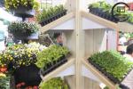 Professional Germination Seed Starter Tray, Hydroponic Fodder Grow Trays At