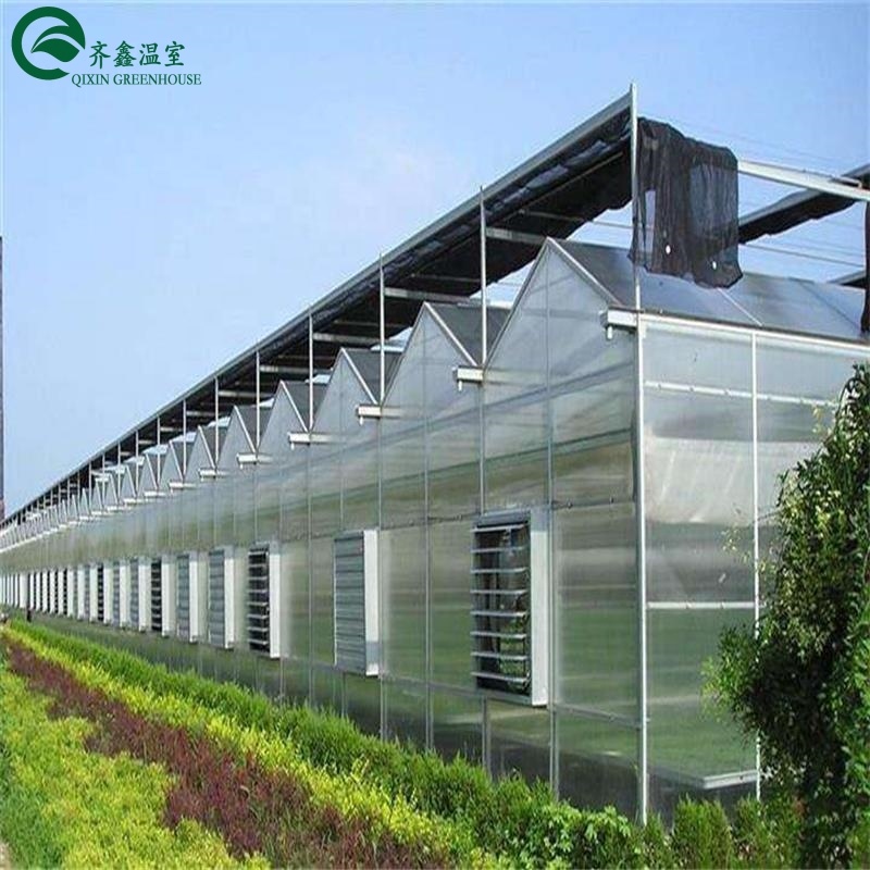 Large Venlo Glass Greenhouse Perfect Fit For Plant Growth Needs