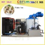 Supermarkets Ice Flake Maker , Industrial Ice Maker Machine With Stainless Steel