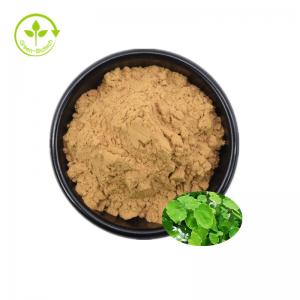 Wholesale Horny Goat Weed Extract Powder Feed Grade Epimedium Blend Extract from china suppliers
