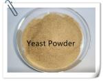 Feed Additive Crude Protein 45% Dry Yeast Powder For Cow