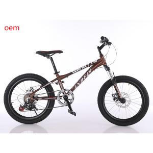 Wholesale 20 Inch 6 Speed MTB Mountain Bikes With Aluminum Alloy Rim from china suppliers