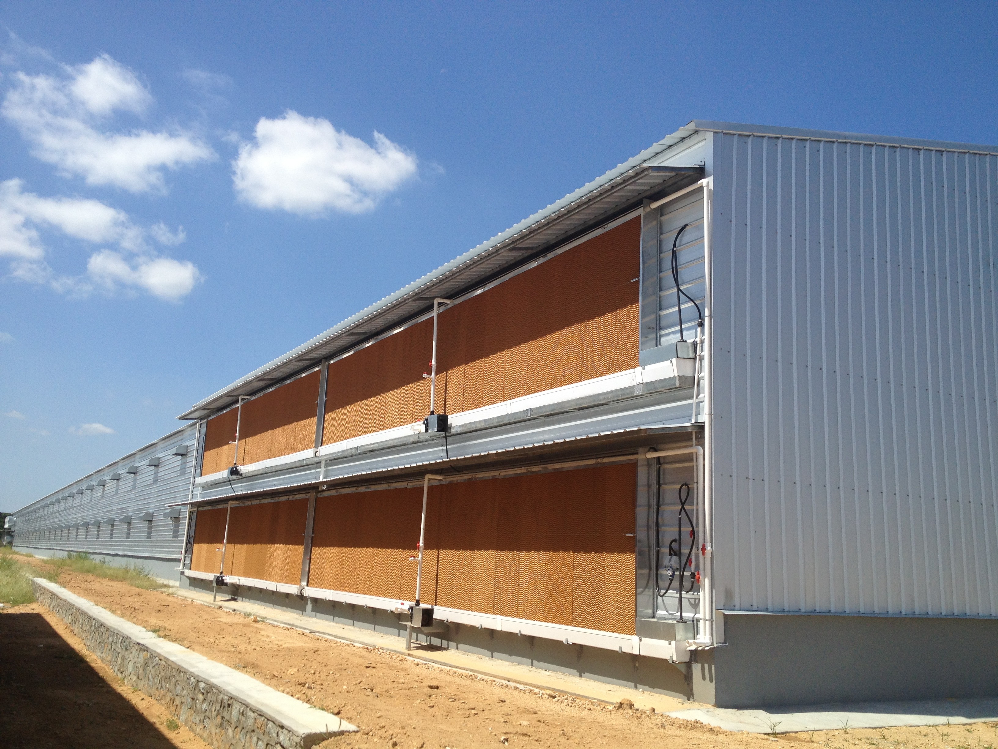 Galvanized Steel Frame Chicken House Bolts Connection Steel Structure Poultry Sheds