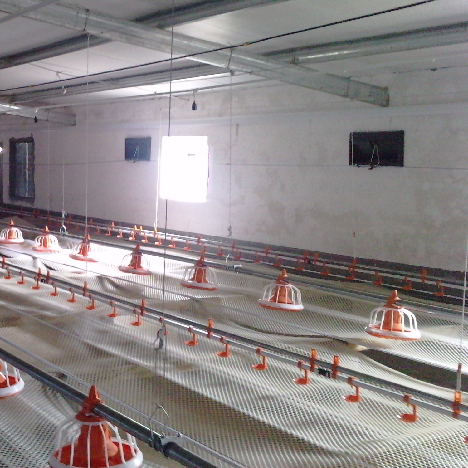 Chicken Farm Automatic Feeding Poultry Winching System