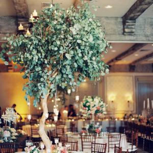 Wholesale Artificial Plants Green Eucalyptus Tree For Mall Hotel Decoration from china suppliers