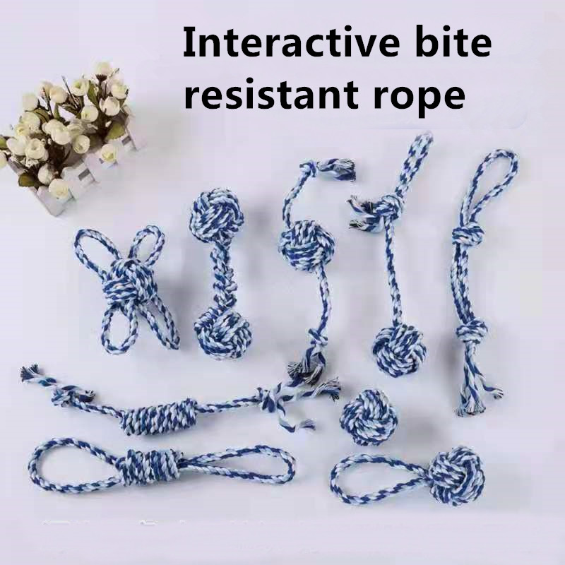 best dog rope