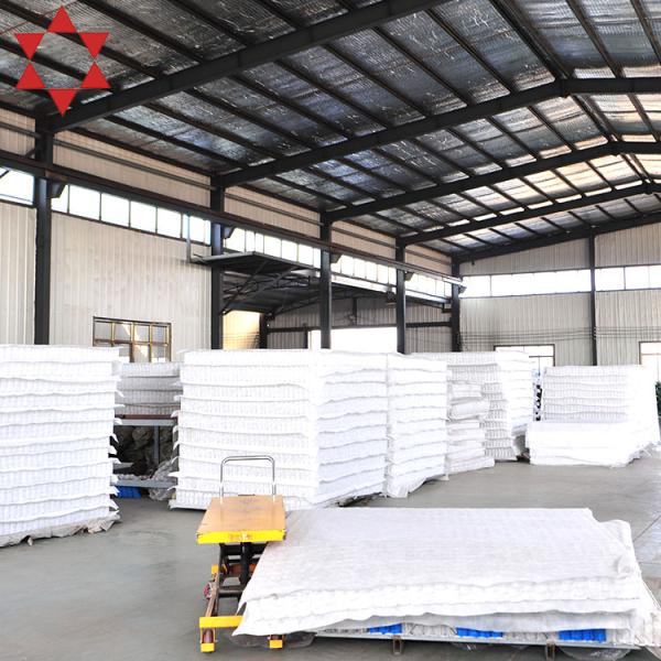Factory Customization High Quality Roll Packed Mattress Spring Pocket Coil for Mattress