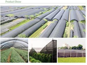 Wholesale UV Treated Greenhouse Shade Net / Green Garden Net For Roofing Agriculture Cover from china suppliers