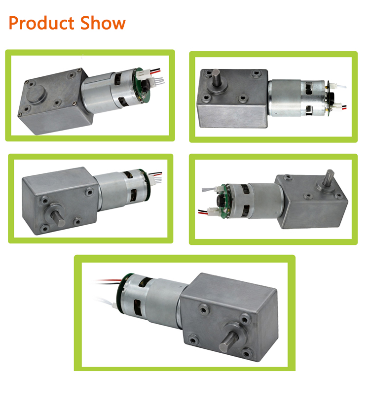 Factory High Torque Direct Sale Double Shaft Electric 12V 24V 775 Brushed Dc Motor For Power Tools