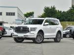 3.0T SUV Petrol Cars Sports Version Tank 500 2023 Built With 7 Seats White
