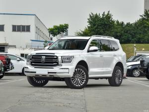 Wholesale 3.0T SUV Petrol Cars Sports Version Tank 500 2023 Built With 7 Seats White from china suppliers