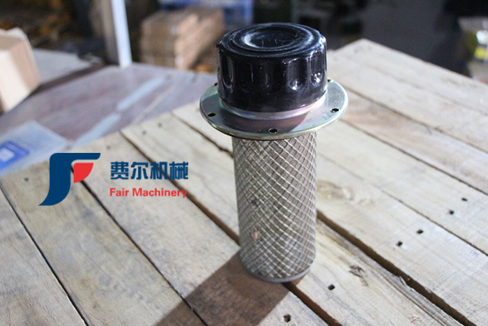 BS305 Liugong Loader Parts 4110000613 Fuel Filter For LG936L LG956L L956F