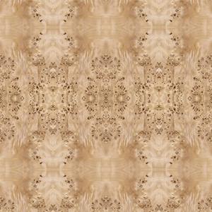 Wholesale Fancy Panel Faced Natural White Poplar Burl Wood Veneer For Hotel Decoration 2440/2745mm Lengthened Size China Supply from china suppliers