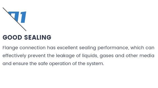 BV Certified Factory DN15-DN600 Customized Flange ASTM A105 Q235 SS304 SS316 SS304L SS316L Flange Used for The Connection Transport Water Oil Gas