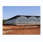 Intelligent Greenhouse For Tomato Cultivation Multi Span Film Green House By