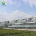 Heavy Duty Glass Hydroponic Nursery Greenhouse For Vegetables