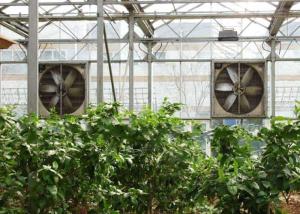 Wholesale 1400RPM Greenhouse Cooling System 220V / 380V Galvanized Sheet Contour Frame from china suppliers