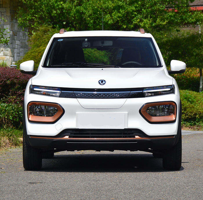 DF Nano Box 2023 Electric Car Mini SUV EV Vehicle with and 331km Range Manufactured by DF