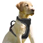 Outdoor Pet Dog Harness Leash Adjustable Reflective Vest With D Ring Buckle