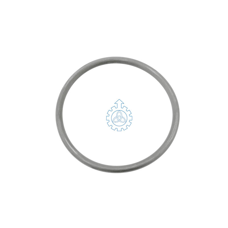 o-ring 5003065115