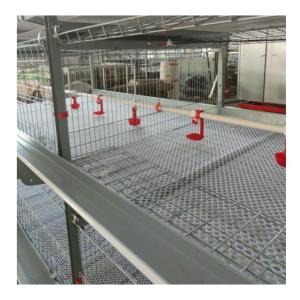 Wholesale 3tire 2150x2300x1600mm Poultry Farming Equipment For Laying Hens Chicken Cage from china suppliers