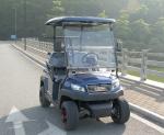 Aluminum Chassis Electric Golf Buggy ADC 48V 3.7KW Motor 60-80KM Endurance