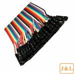 2x 40 Conductor (80pcs) Male to Female Jumper Wire 20CM; 40P Wires Ribbon Cable
