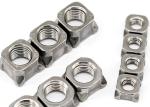 M10 M12 Weld Nut Stainless Steel SS316L Weld Hexagon Nut Polished Stainless