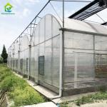 Hot Galvanized Steel Plastic Film Greenhouse For Agricultural