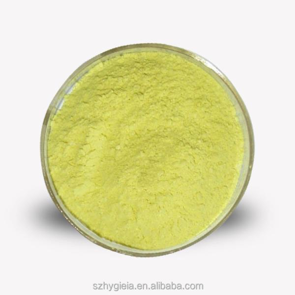 Natural Sophora Japonica Extract 99% Quercetin Dihydrate Powder For Healthcare