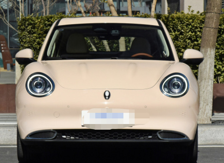 ORA Haomao 2023 501km standard range Haohua ternary lithium Small car Five-door five-seater hatchback