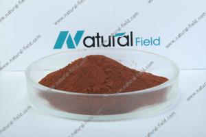 Wholesale ISO &amp; BV China manufacturer of pygeum africanum bark extract from china suppliers