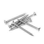 SUS316 Stainless Steel Type 17 Point Pozi Double Csk Head Chipboard Screws With