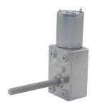 Faradyi Custom Worm Reducer Dc Right Angle Gear Motor Dc Motor 12V 24V 40Nm Dc