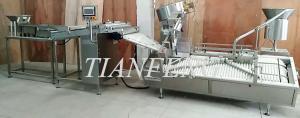 Wholesale Horizontal SS304 80pcs/Min Effervescent Tablet Filling Machine from china suppliers