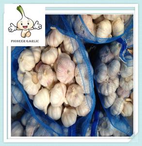 Wholesale chinese factory supply Jining white garlic in lowest price garlic from china suppliers