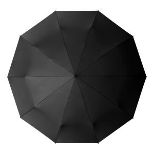 Wholesale Windproof 10-Ribbed Metal Shaft Automatic Open / Close Travel Umbrella from china suppliers