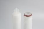 Double 0.22 Micron PES Membrane Filter Cartridge For Food Beverage Industry